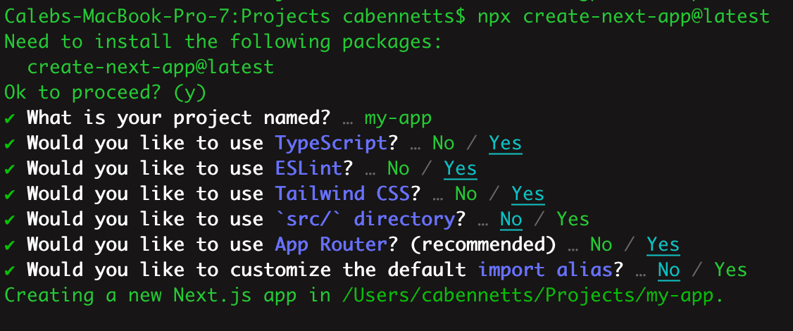Settings I chose for my next.js app
